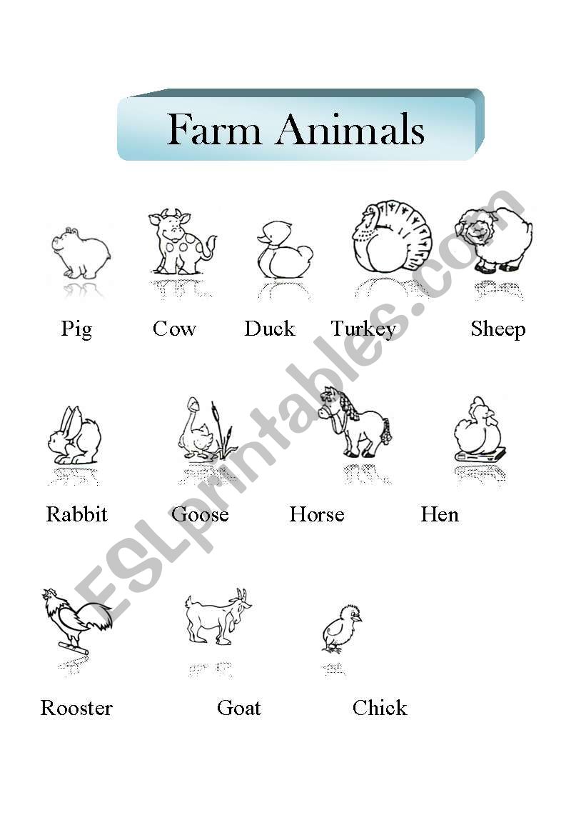 Farm Animals worksheet