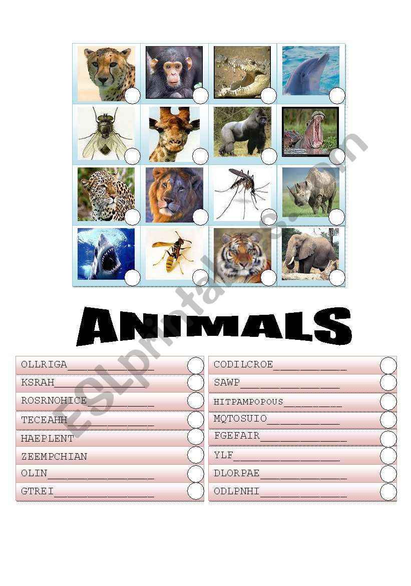 ANIMALS worksheet