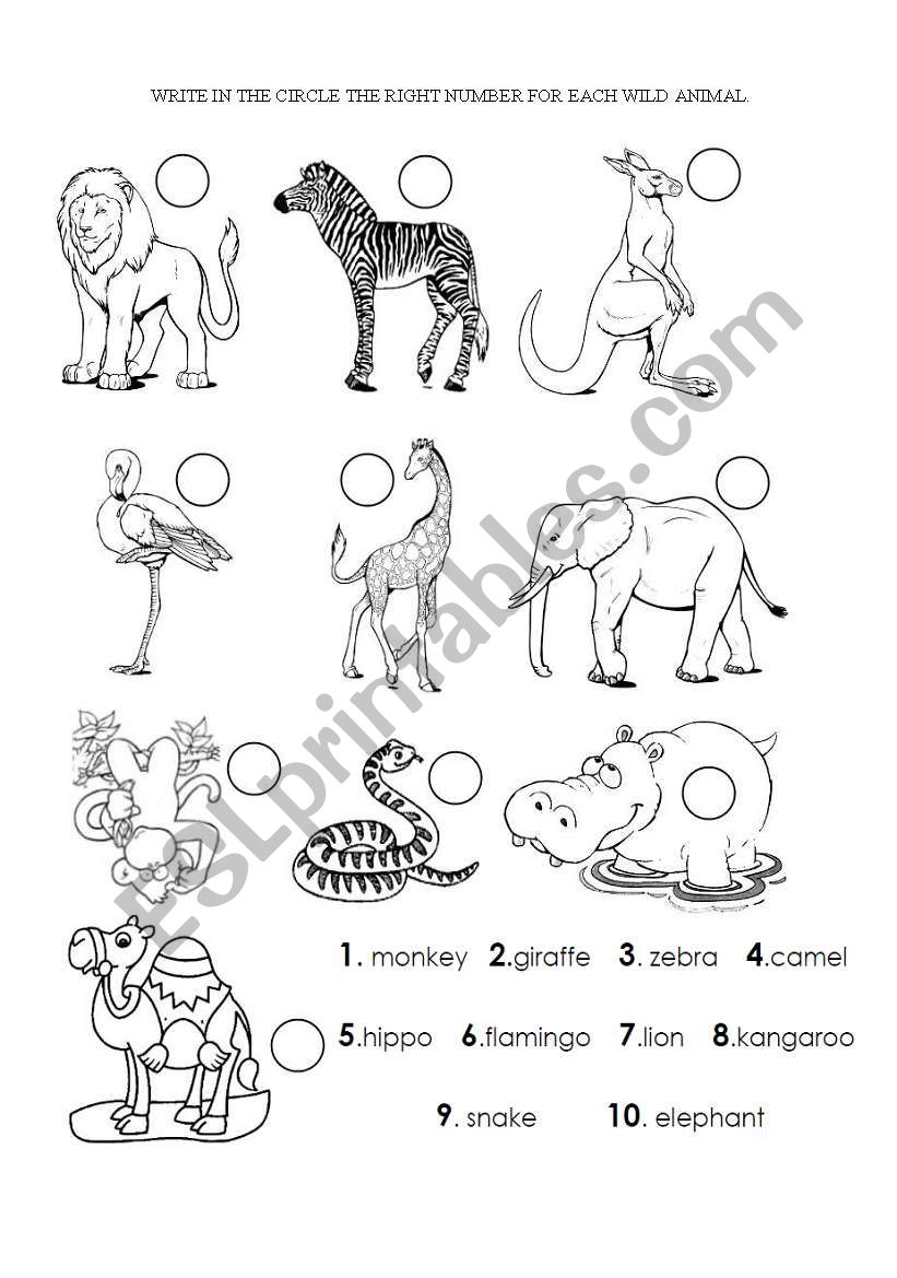 WILD ANIMALS worksheet