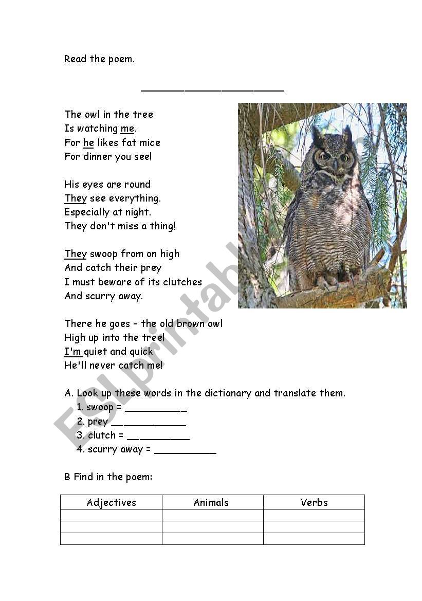 The Owl in the Tree - poem 2 pages