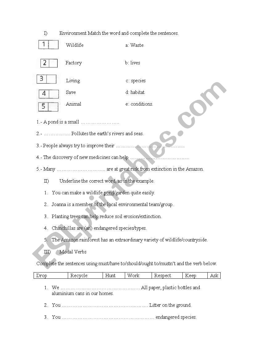 Will and going to worksheet