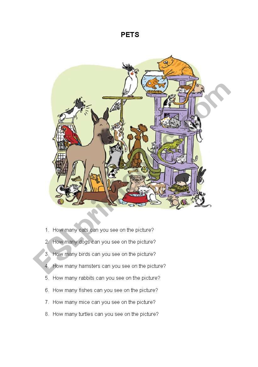 How many...can you see? worksheet
