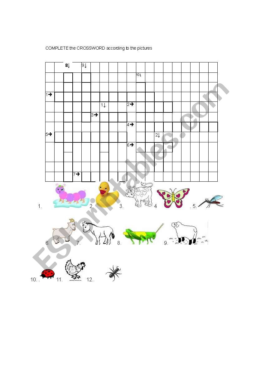 Insects and farm animal worksheet