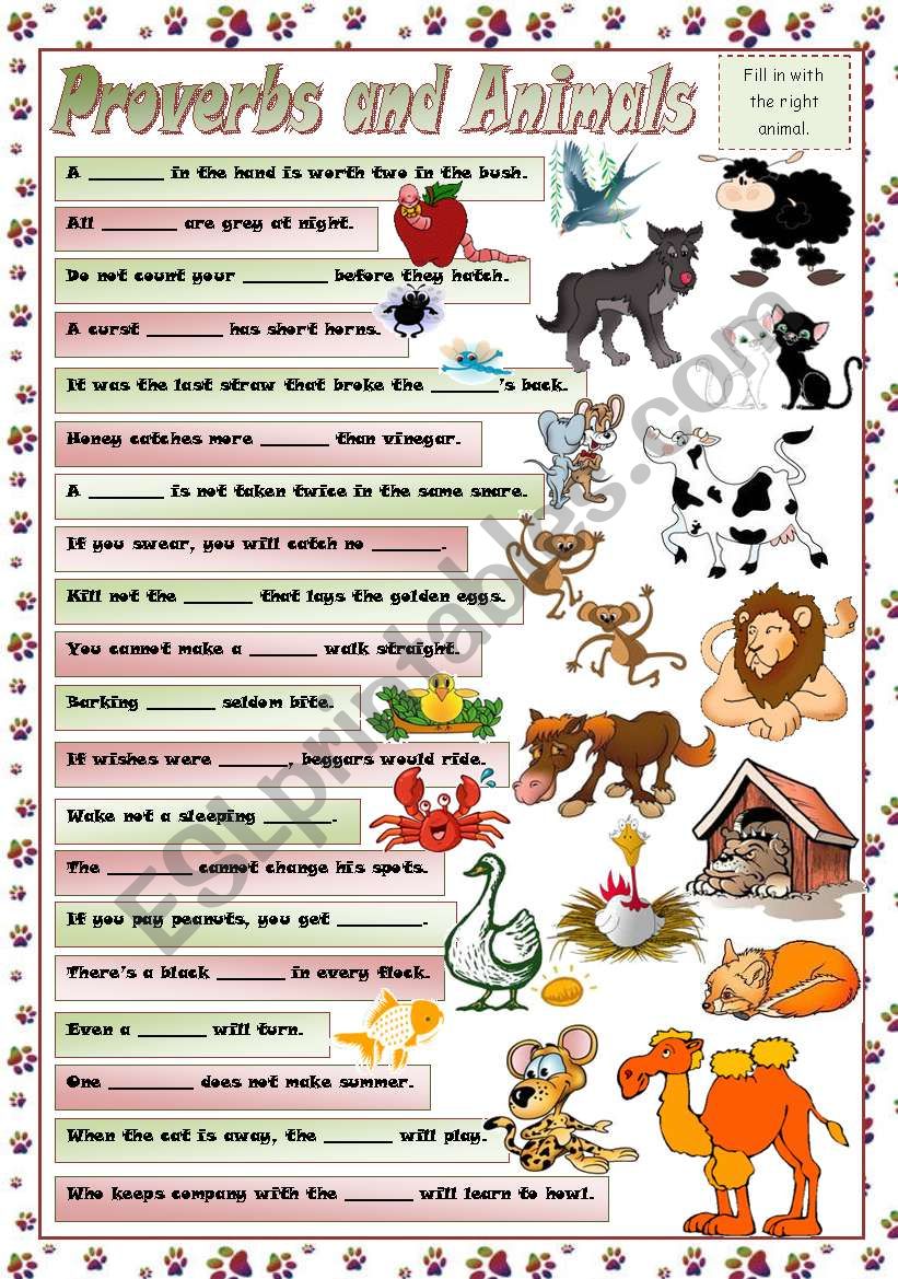 PROVERBS AND ANIMALS worksheet