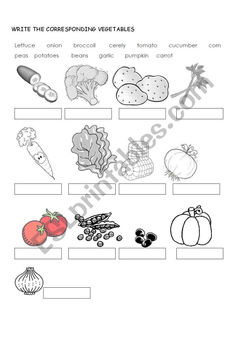 VEGETABLES worksheet