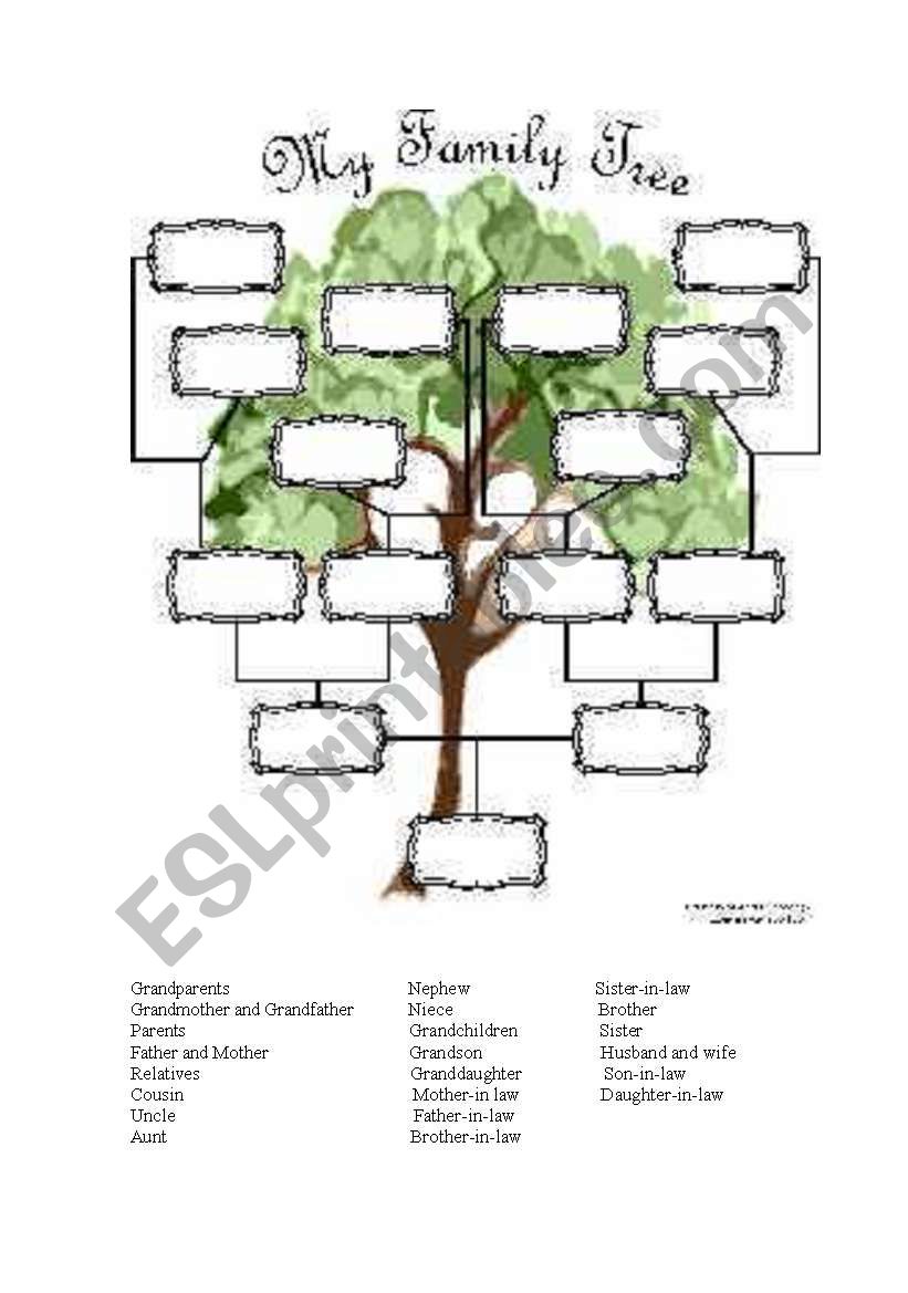 Family tree exercise worksheet