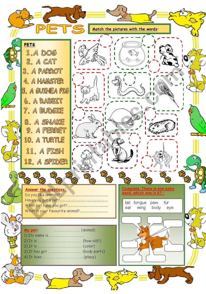 Elementary Vocabulary Series4 - Pets