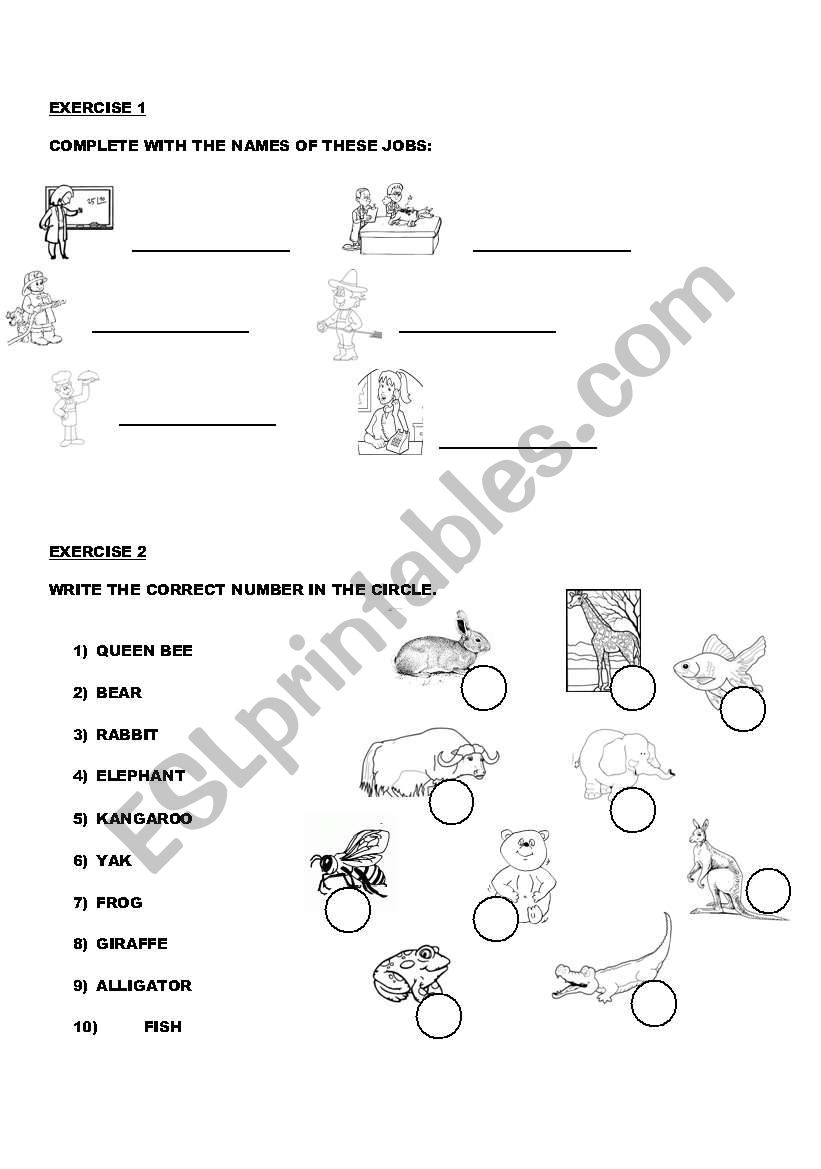 JOBS AND ANIMALS worksheet