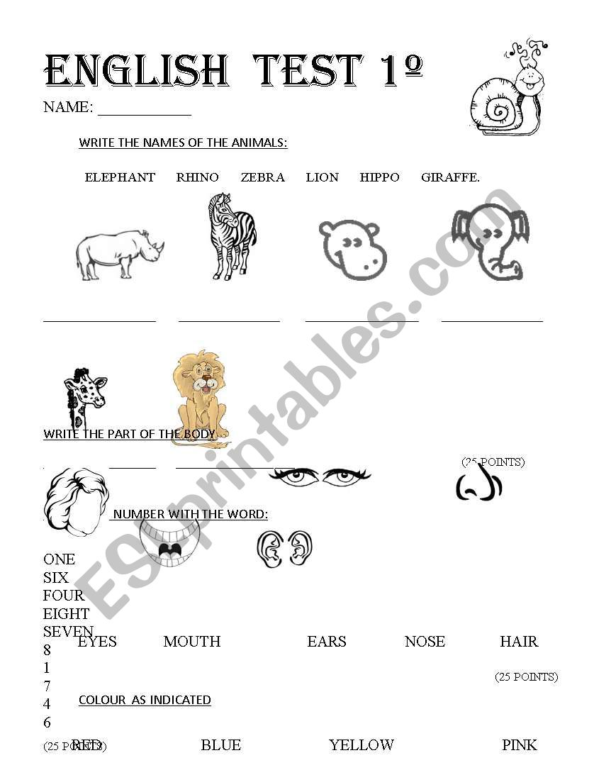 TEST 1ST YEAR worksheet