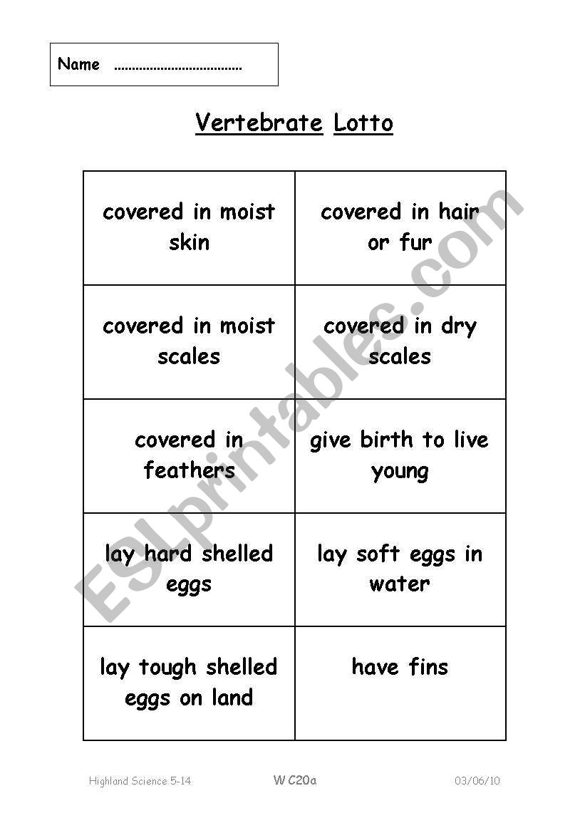 vertabrates worksheet