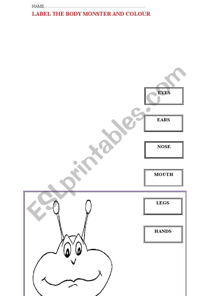 MONSTER BODY worksheet