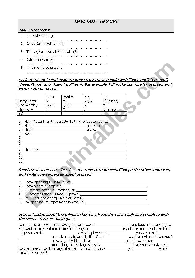 HAVE-HAS GOT worksheet