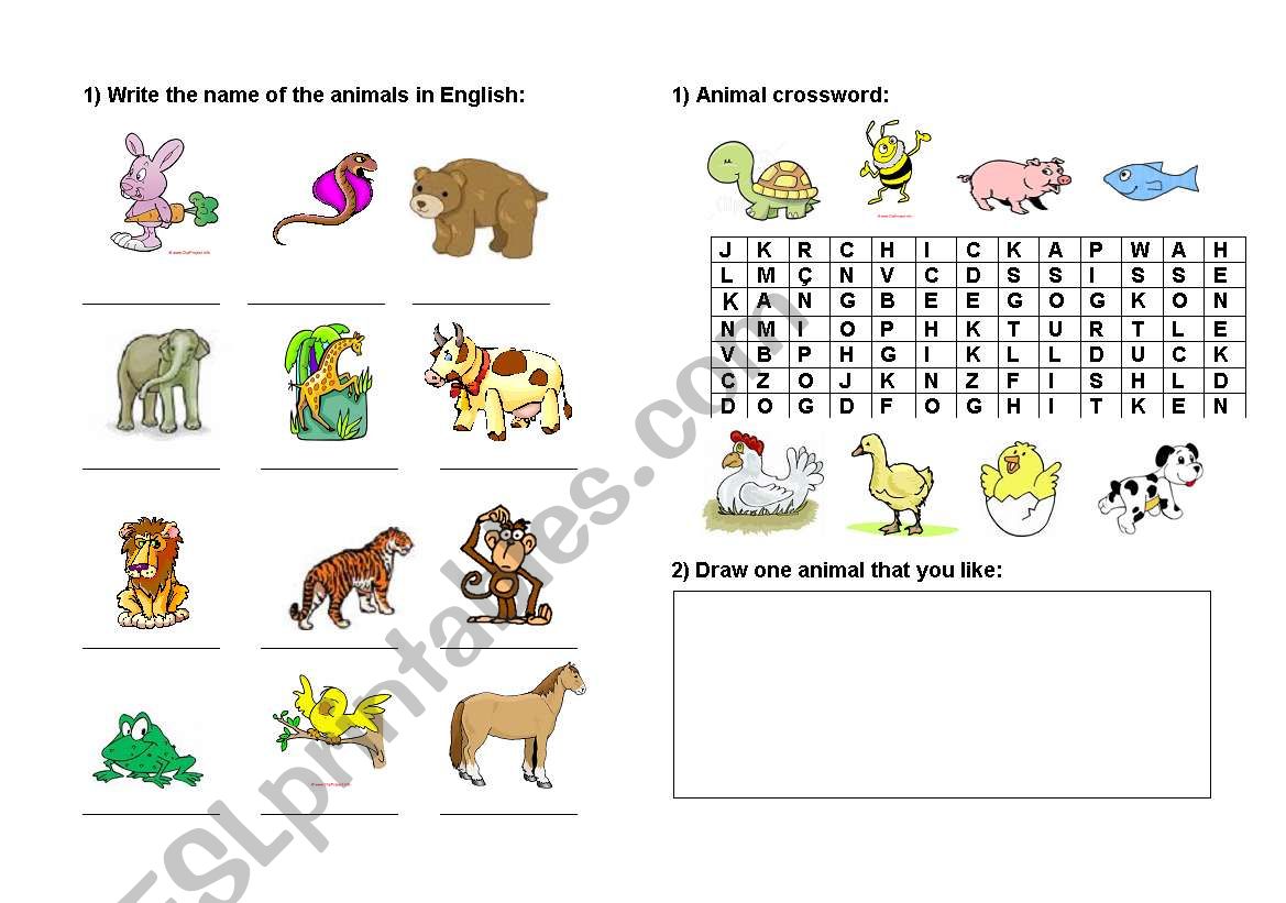 Animals worksheet