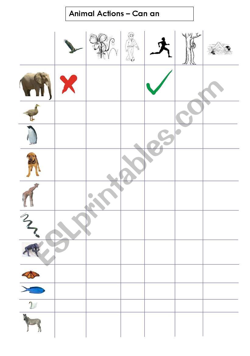 CAN an elephant fly? worksheet