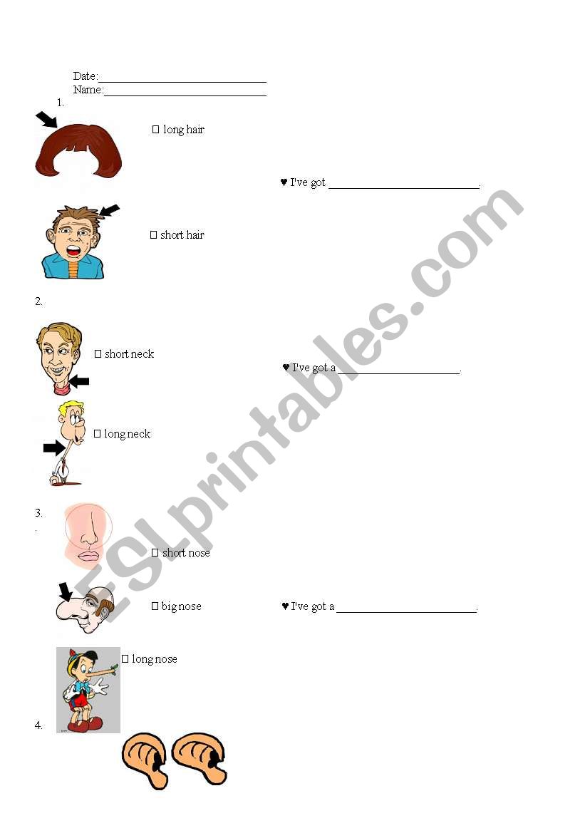 Body Parts worksheet