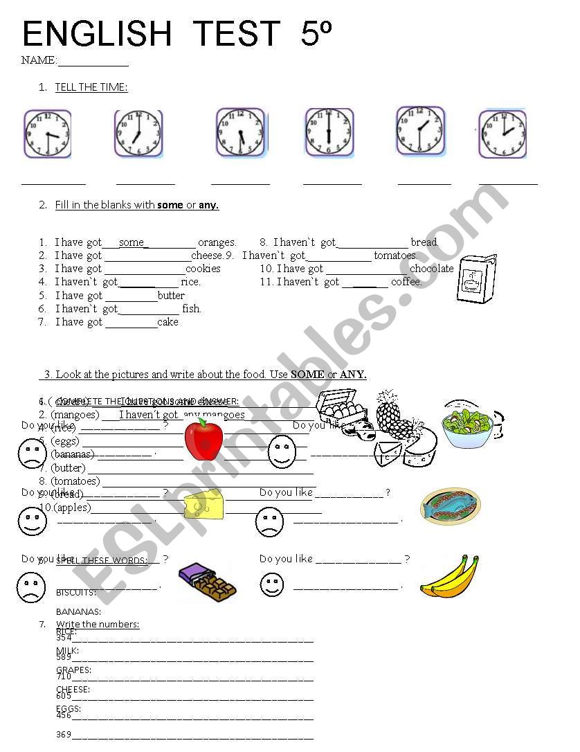 test 5th year worksheet