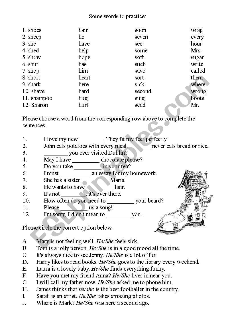 He or She, word list to practice Sh, S and H, fill in the blanks