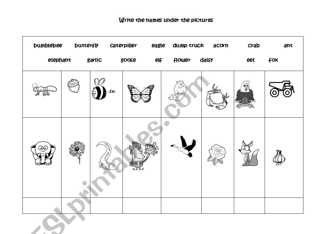 Animals   worksheet