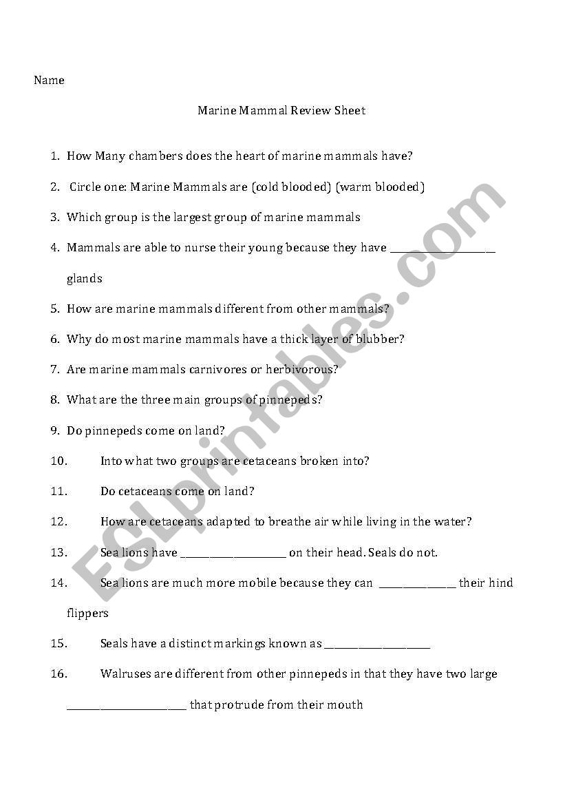 Pinnepeds and Cetaceans worksheet