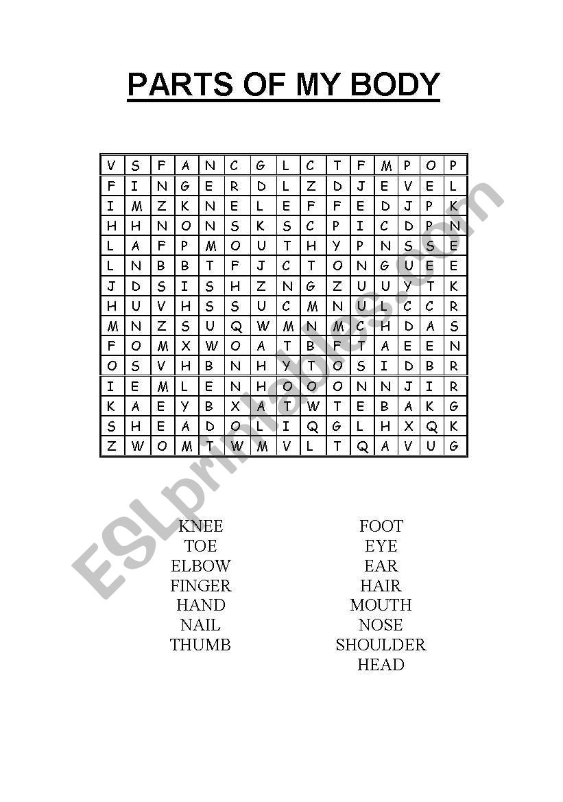 PARTS OF MY BODY worksheet