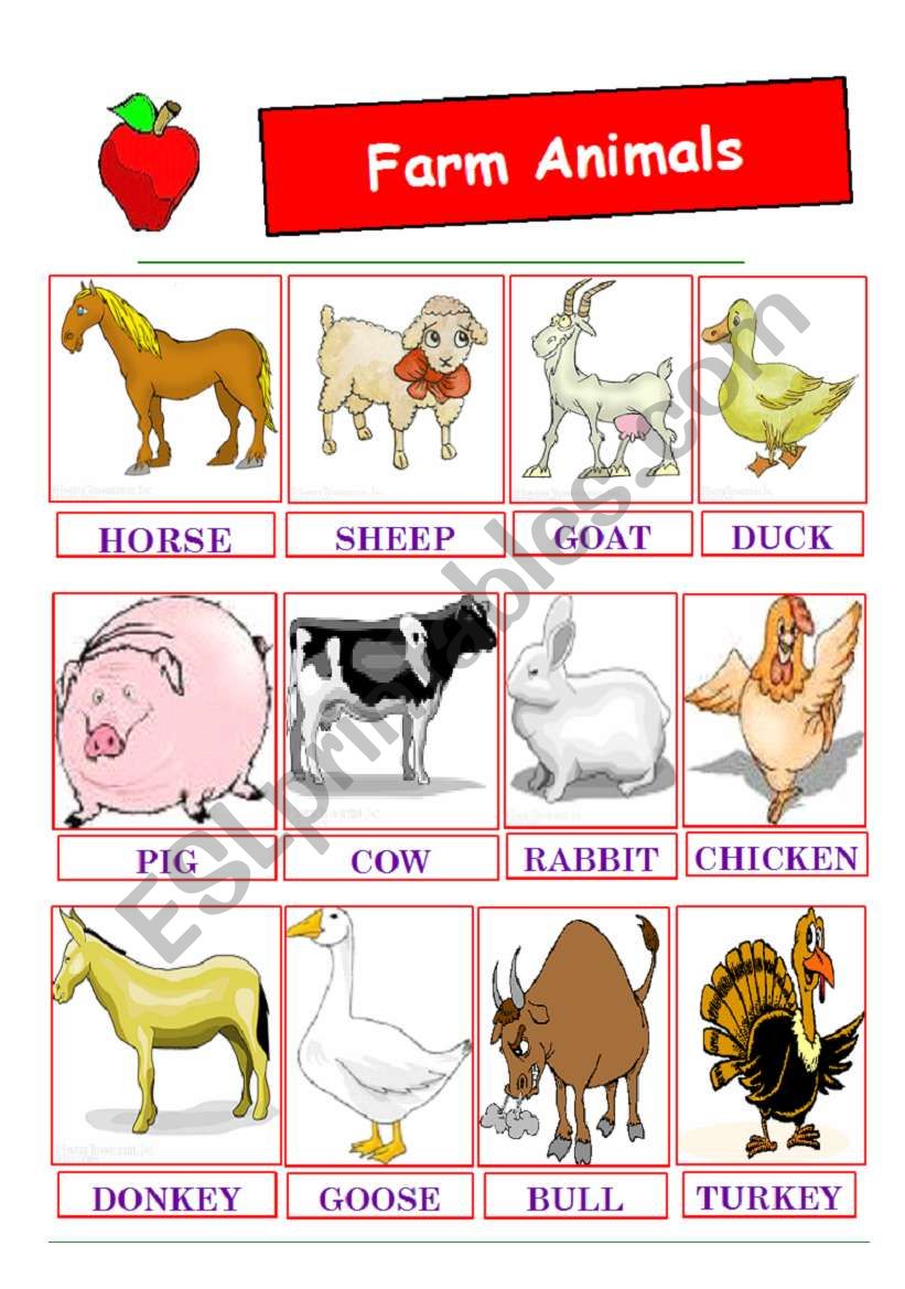 farm animals (05.06.10) worksheet