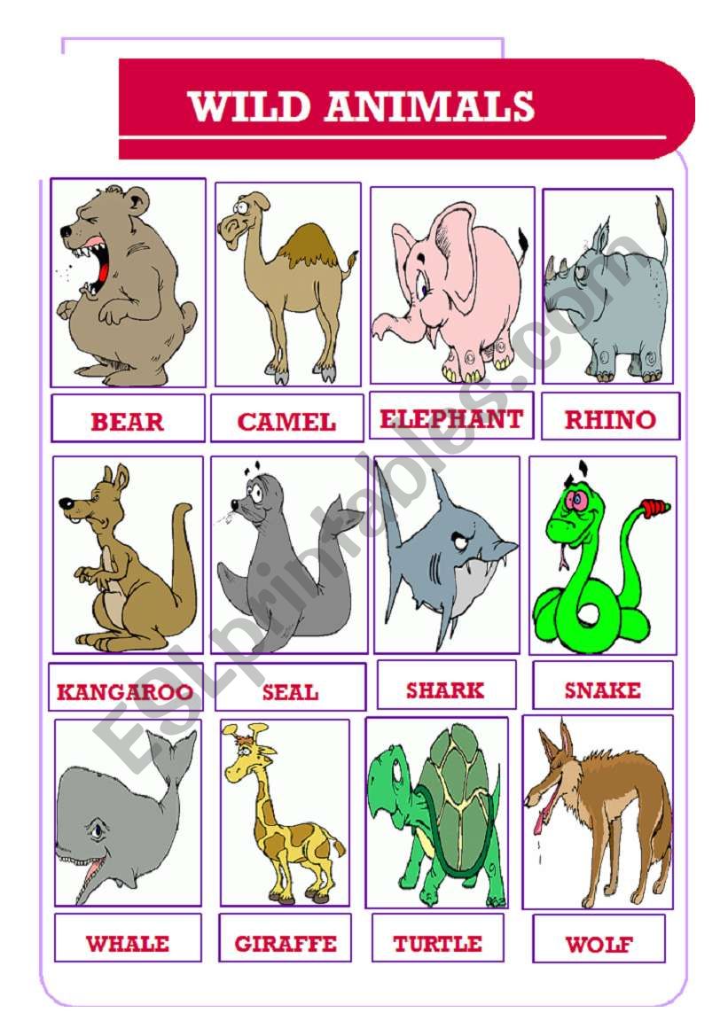 wild animals (05.06.10) worksheet