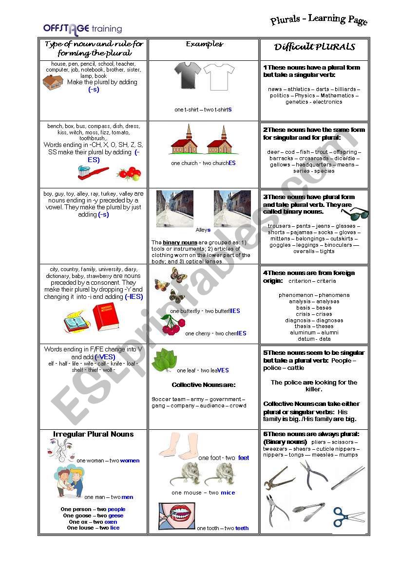 Plurals_Explanation and Exercises_3 pages