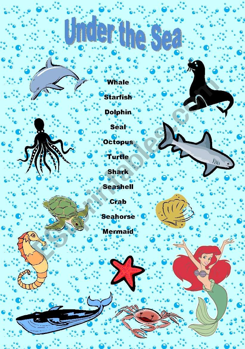 Under The Sea worksheet