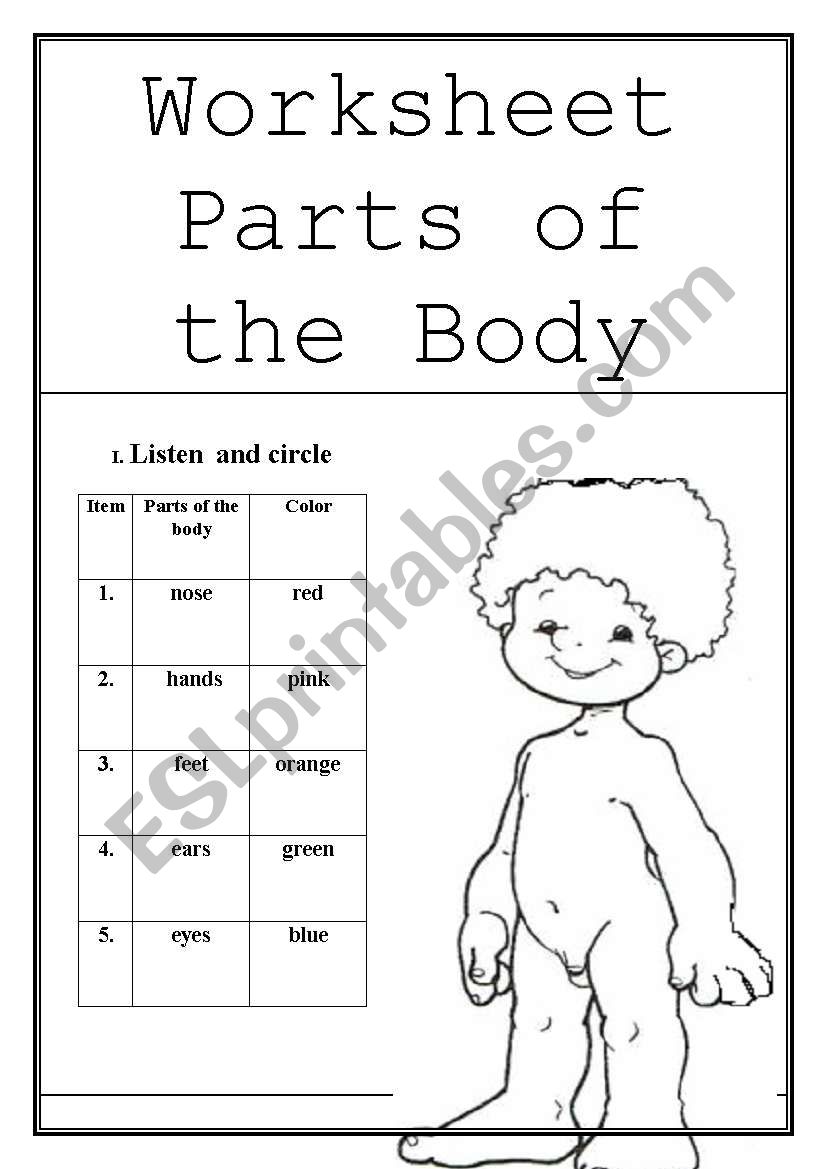 body parts worksheet