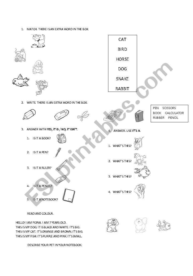 Revision worksheet