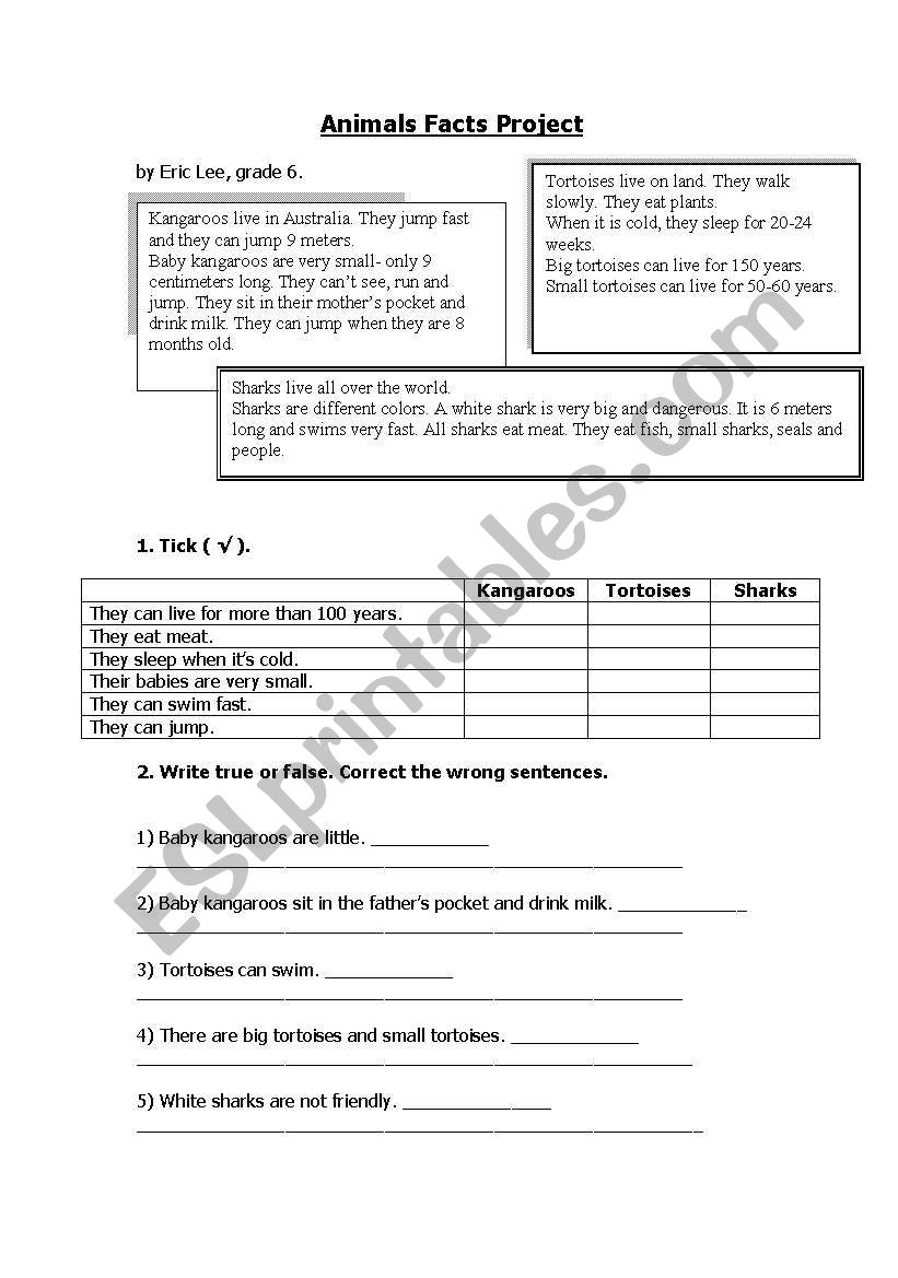 Animals Facts Project worksheet