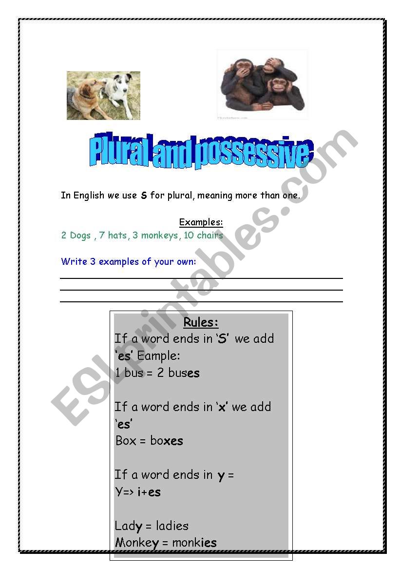 Plural and possessive worksheet