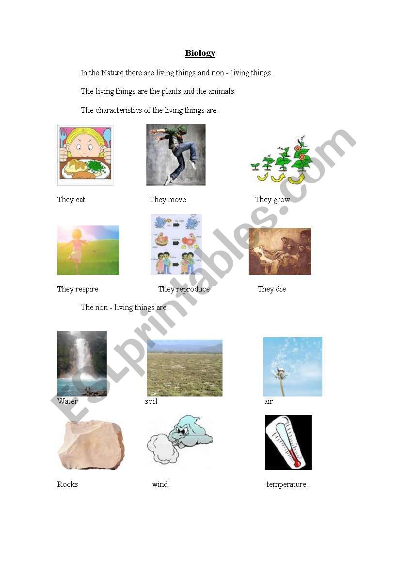 Living and non living things worksheet