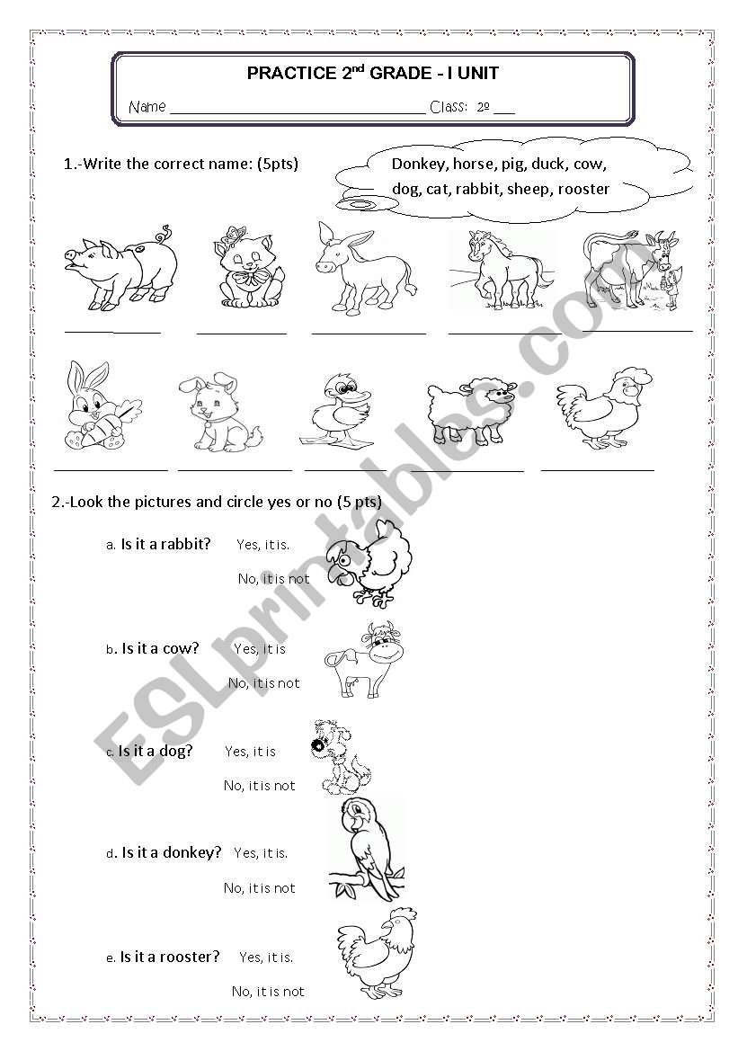 exam for kids worksheet
