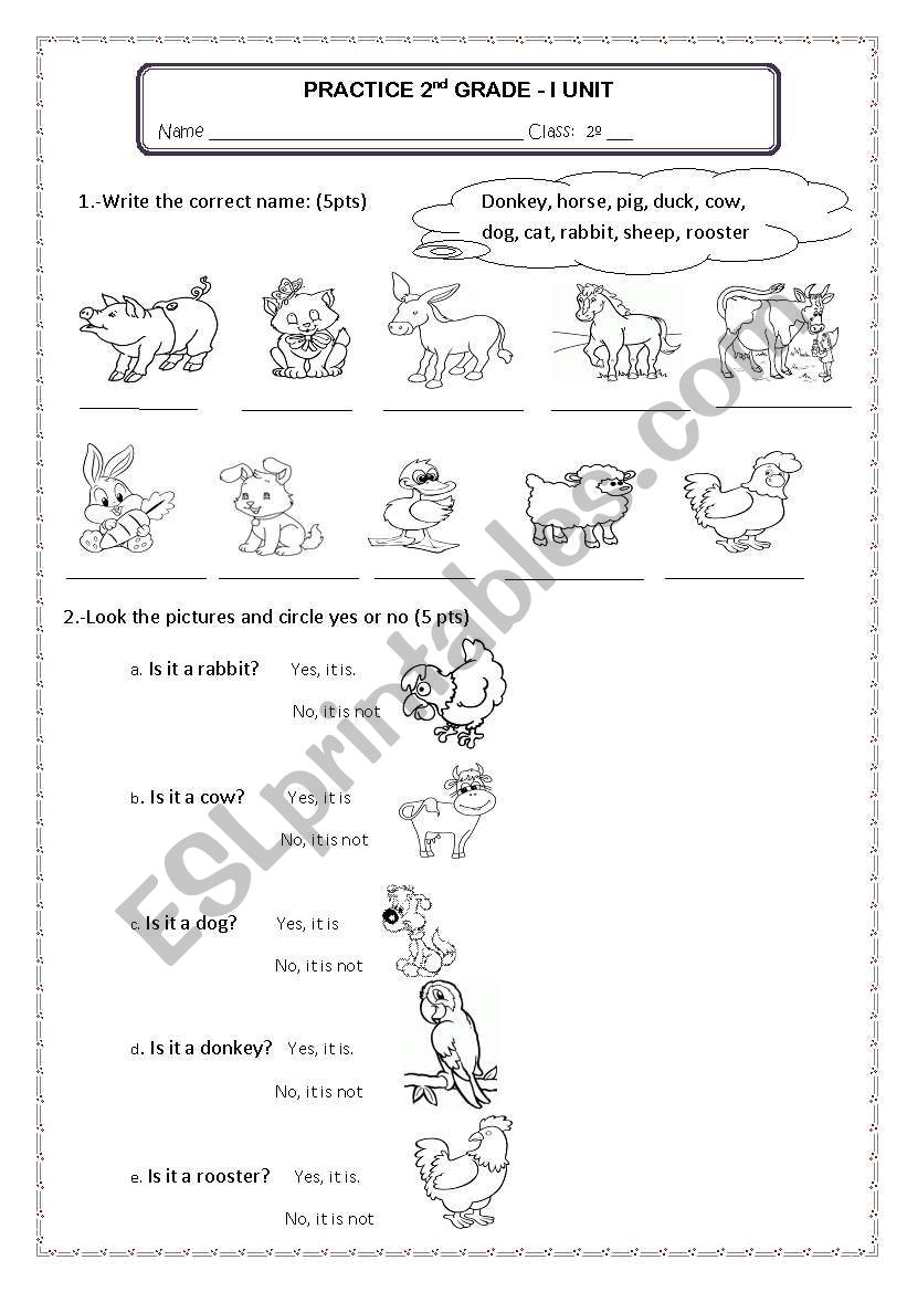 exam for kids worksheet