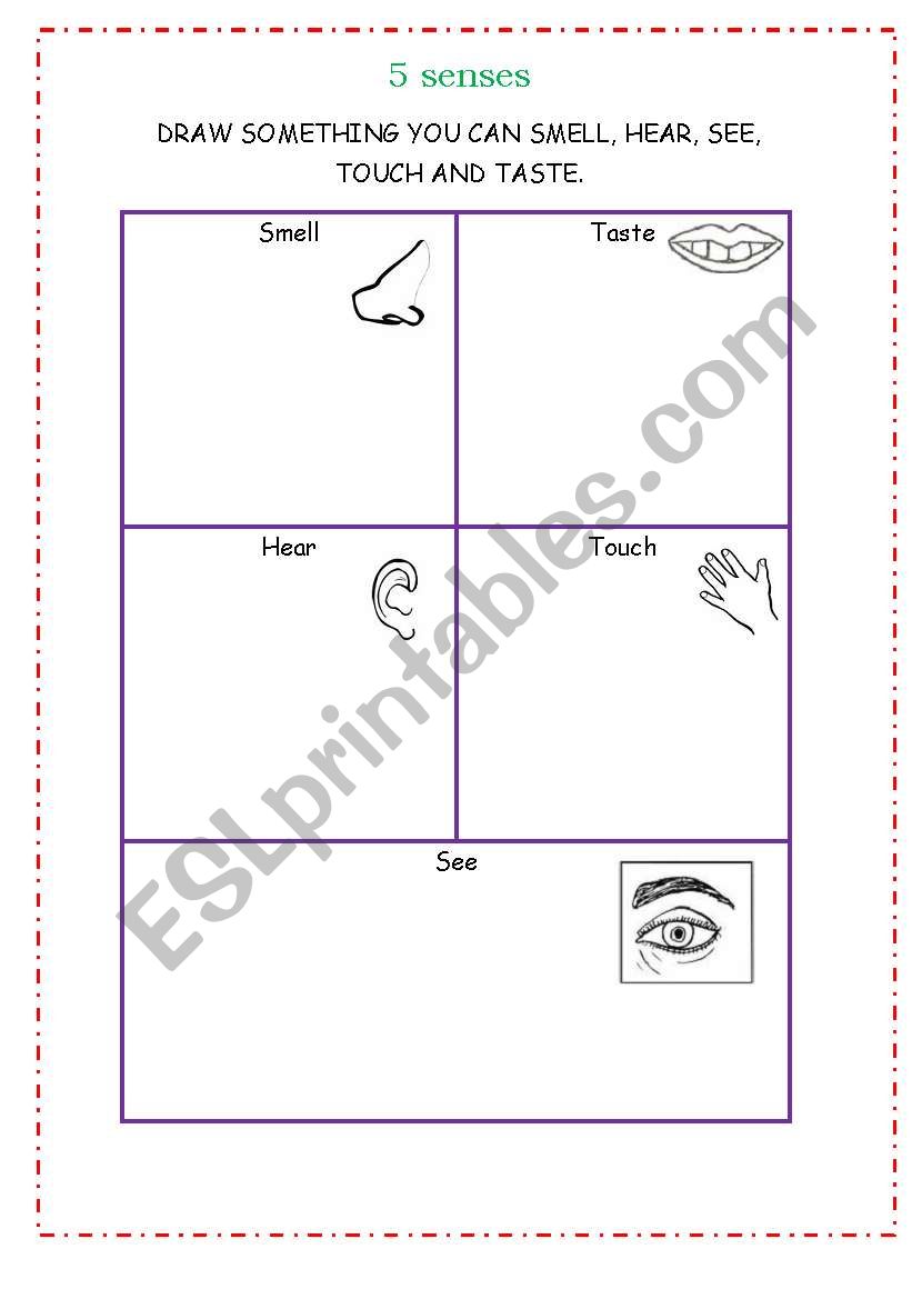 Five senses  worksheet