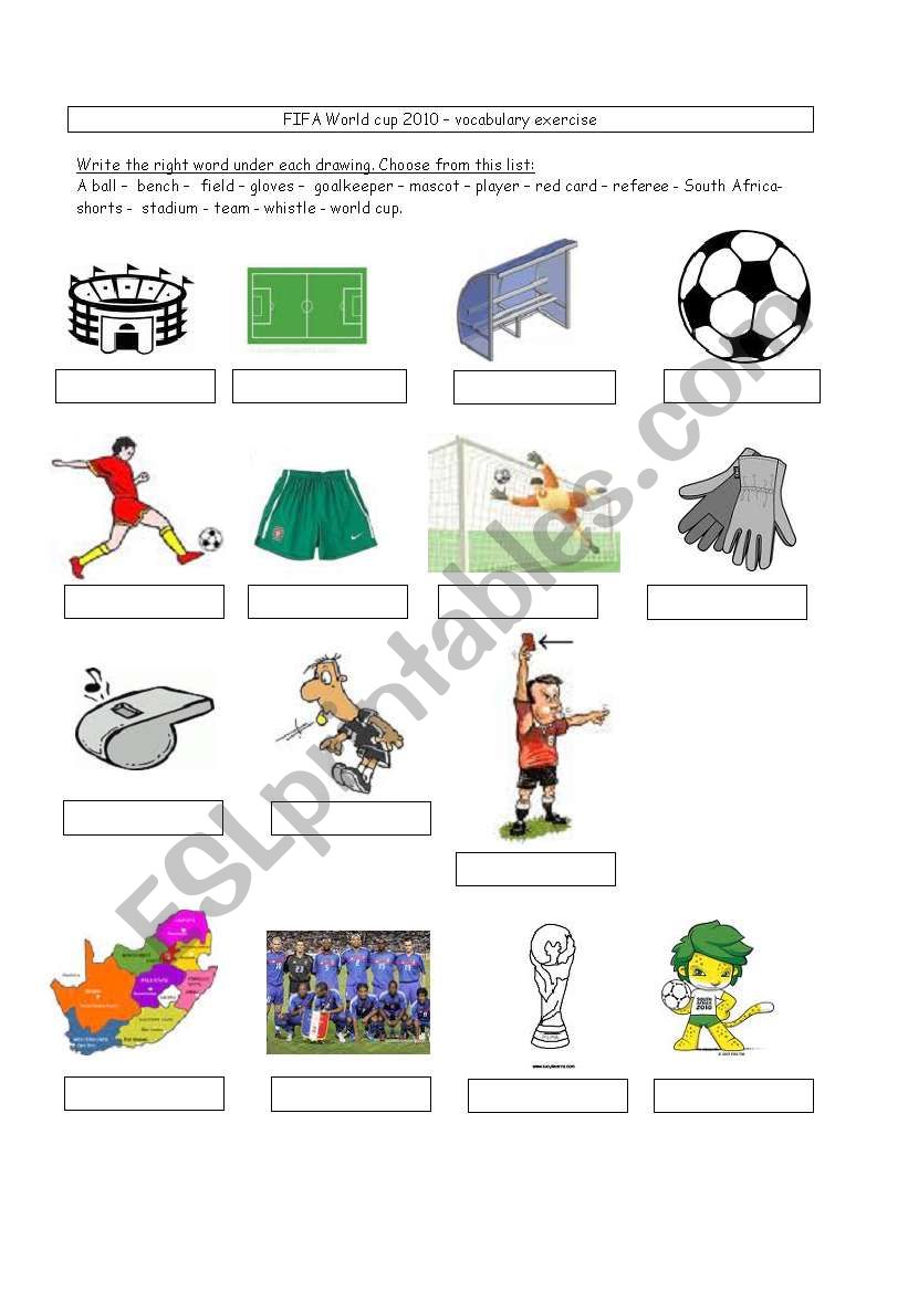 World cup vocabulary exercise worksheet