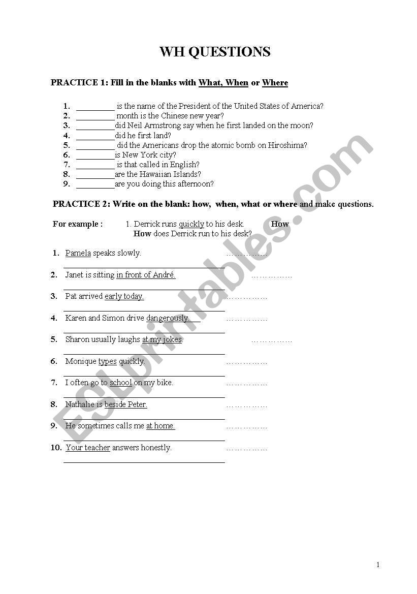 exercises on wh questions worksheet