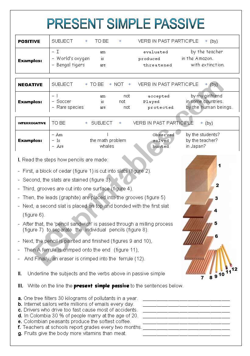 SIMPLE PRESENT PASSIVE (PASSIVE  VOICE)