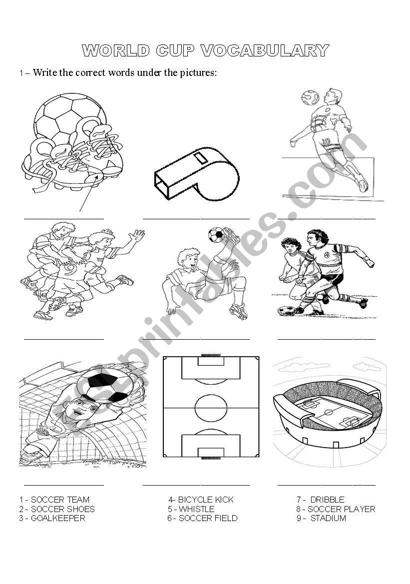 World Cup  worksheet