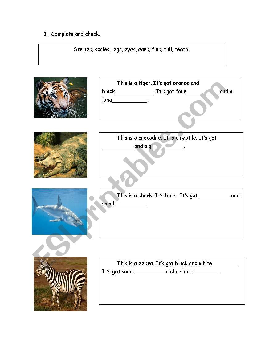  wild animals worksheet