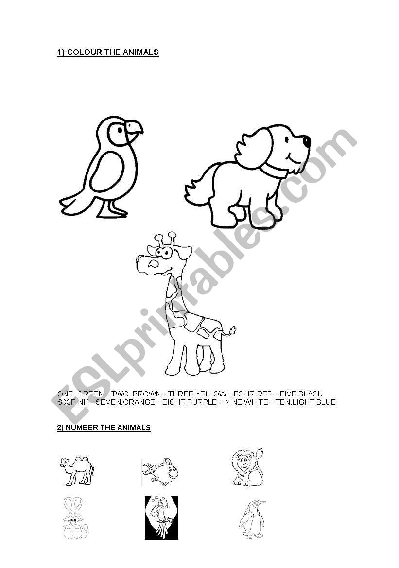 animals,colours and numbers worksheet