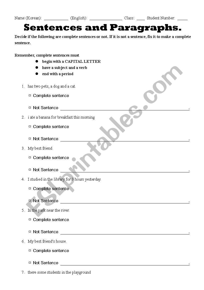 Sentences and Paragraphs worksheet