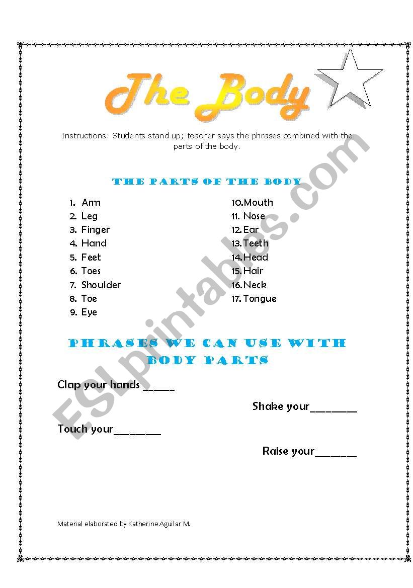 The Body worksheet