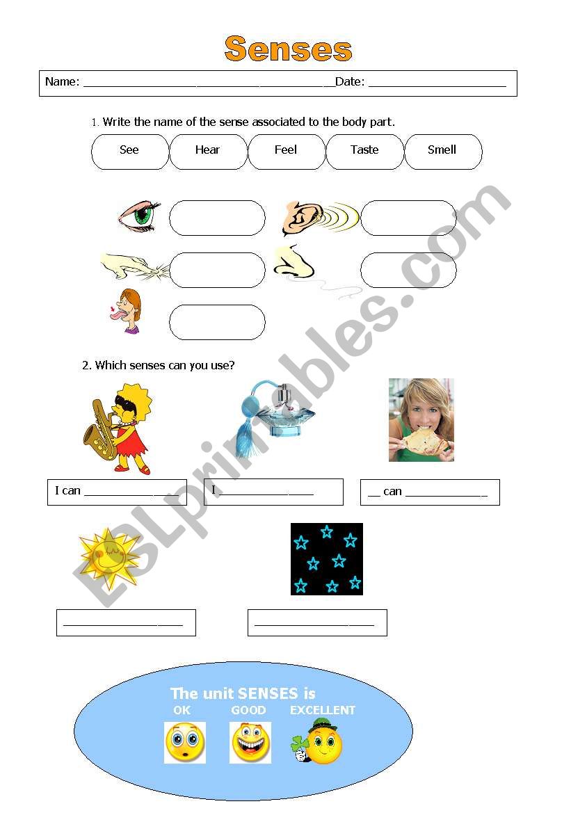 senses worksheet