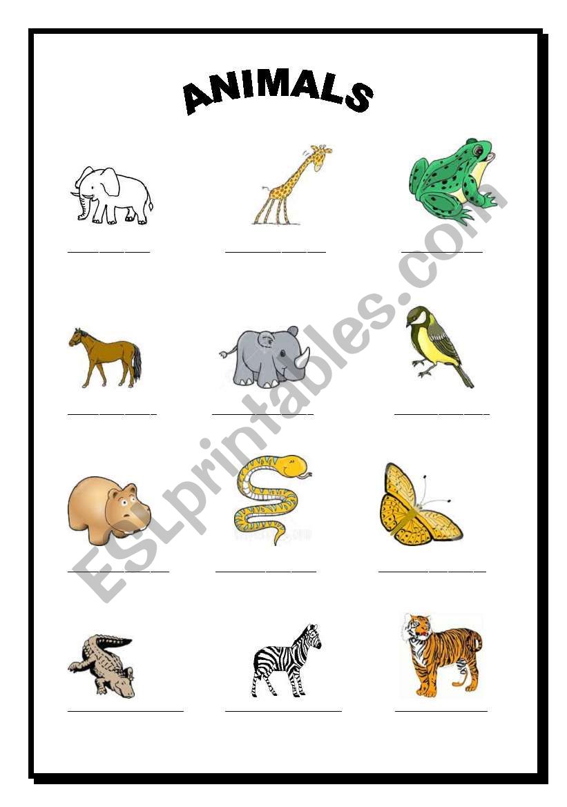 Animals worksheet