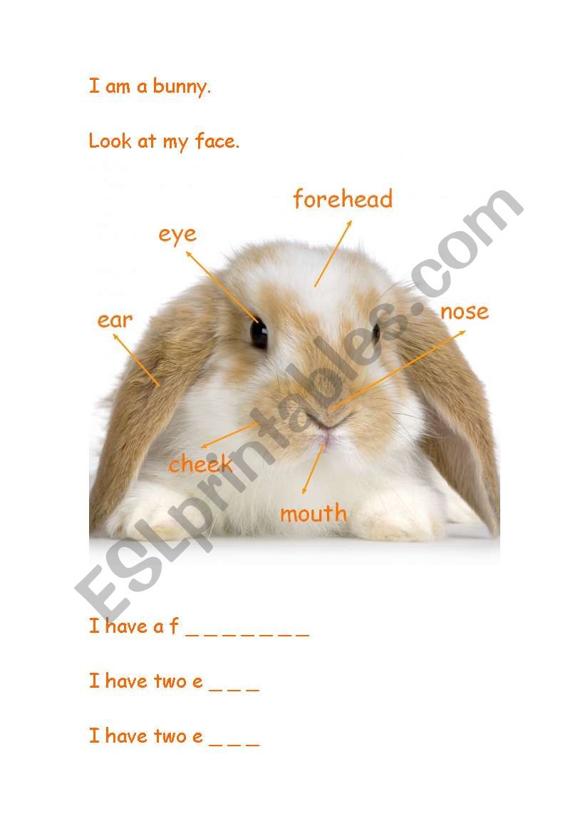 Bunny Face worksheet