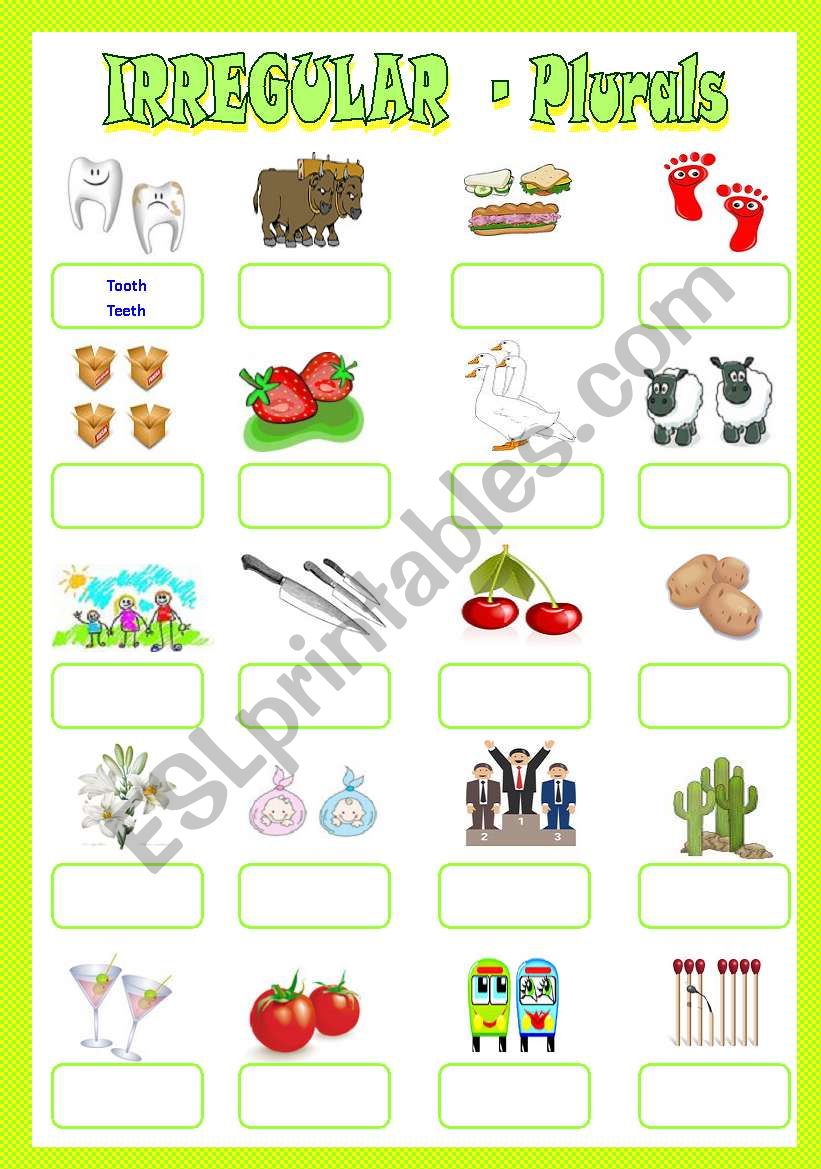 Plurals - Irregular Forms worksheet