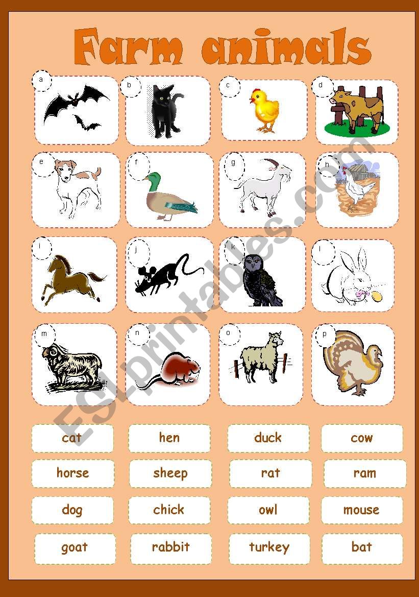 Farm animals  MATCHING worksheet