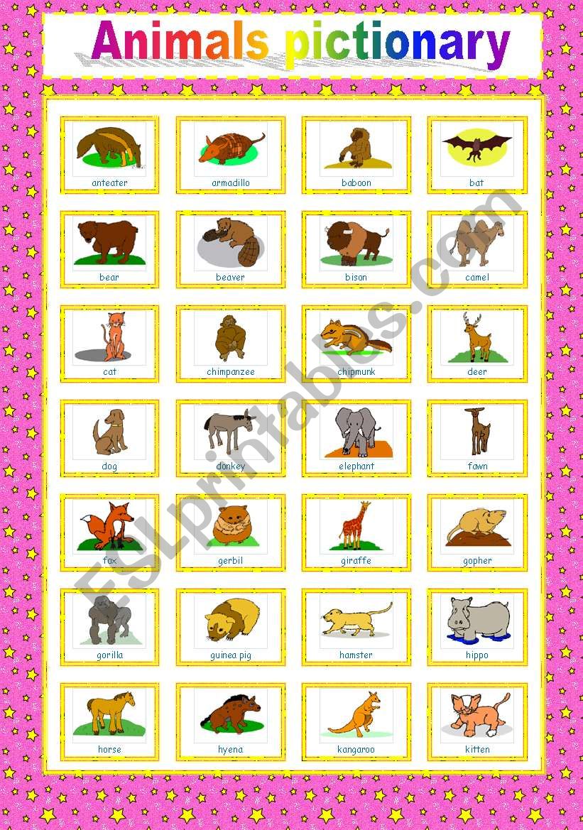 2-page animal PICTIONARY worksheet